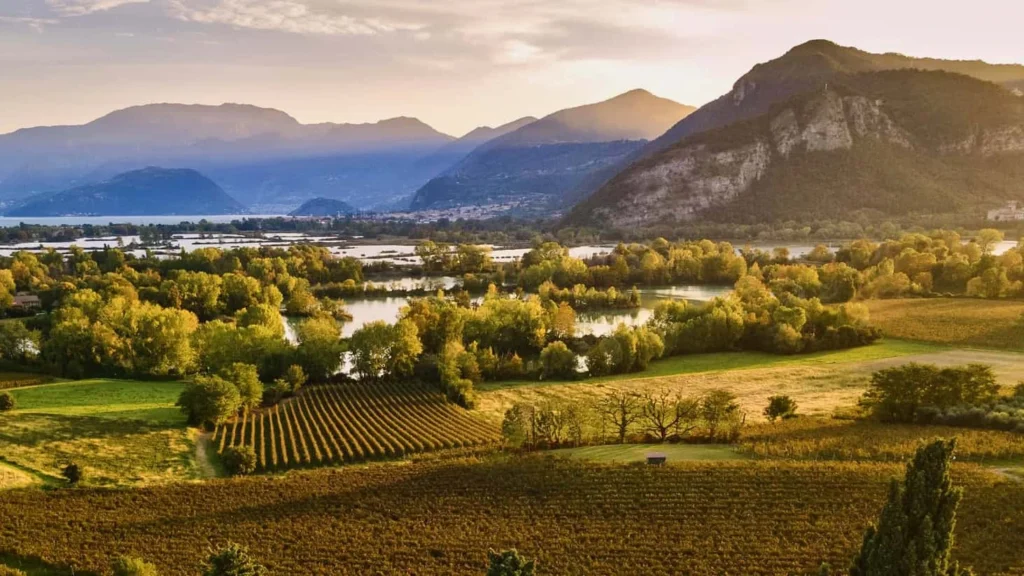 A full range of tour services in Italy in English for tour agencies to better organize trips with a local Italian guide in English