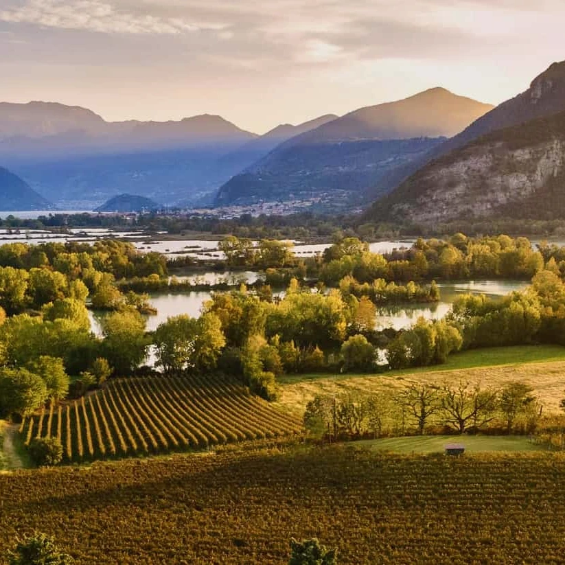 Tour wine region Franciacorta in English from Como