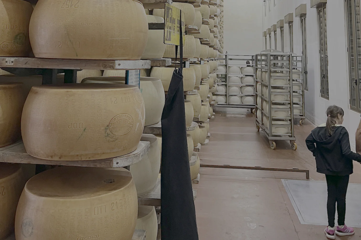 Parmigiano cheese tour in English